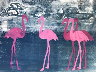 Flamingos